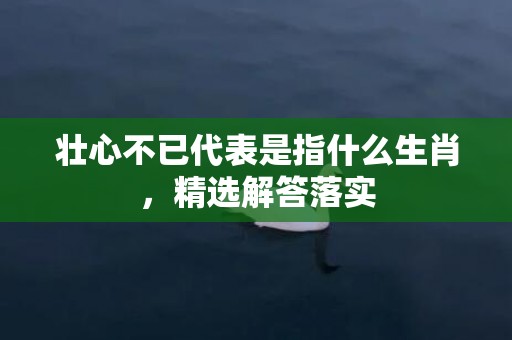 壮心不已代表是指什么生肖，精选解答落实