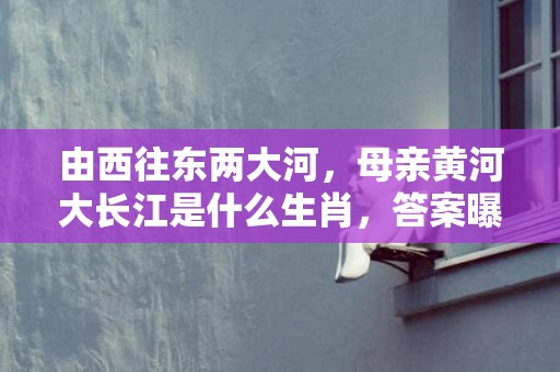 由西往东两大河，母亲黄河大长江是什么生肖，答案曝光落实
