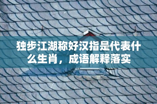 独步江湖称好汉指是代表什么生肖，成语解释落实