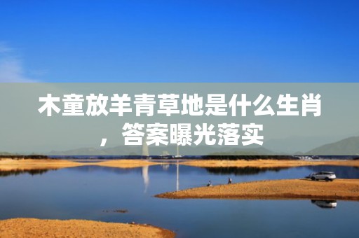 木童放羊青草地是什么生肖，答案曝光落实