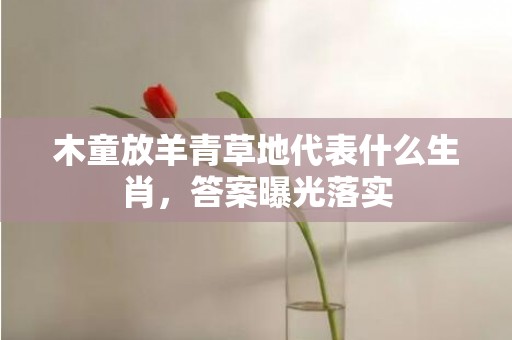 木童放羊青草地代表什么生肖，答案曝光落实