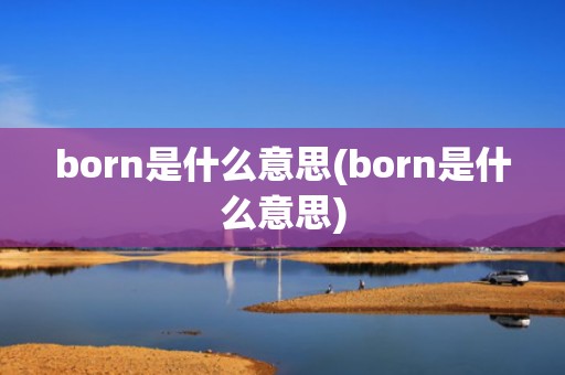 born是什么意思(born是什么意思)