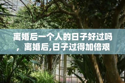离婚后一个人的日子好过吗，离婚后,日子过得加倍艰辛,离婚后的女人有何等难?