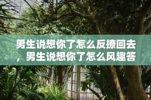 男生说想你了怎么反撩回去，男生说想你了怎么风趣答复