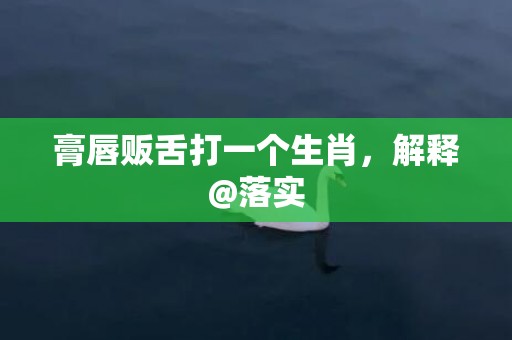 膏唇贩舌打一个生肖，解释@落实