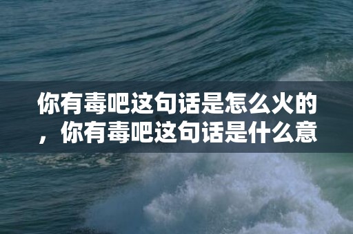 你有毒吧这句话是怎么火的，你有毒吧这句话是什么意思