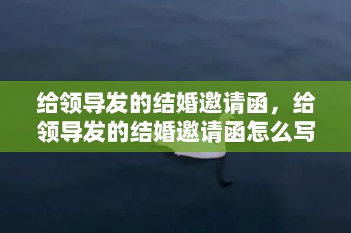 给领导发的结婚邀请函，给领导发的结婚邀请函怎么写 给领导结婚请柬怎么说