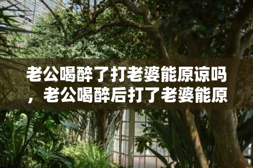 老公喝醉了打老婆能原谅吗，老公喝醉后打了老婆能原谅吗 老公酒后家暴能原谅吗