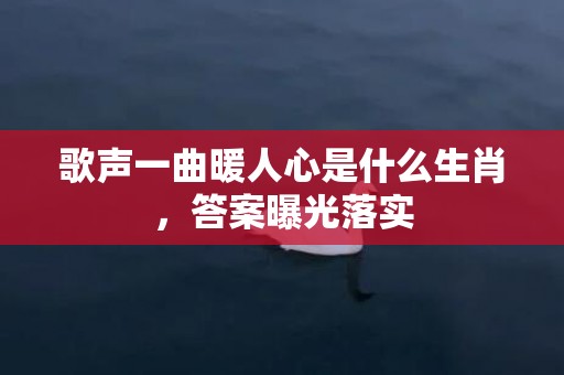 歌声一曲暖人心是什么生肖，答案曝光落实