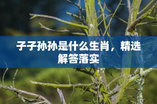 子子孙孙是什么生肖，精选解答落实