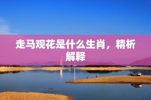 走马观花是什么生肖，精析解释