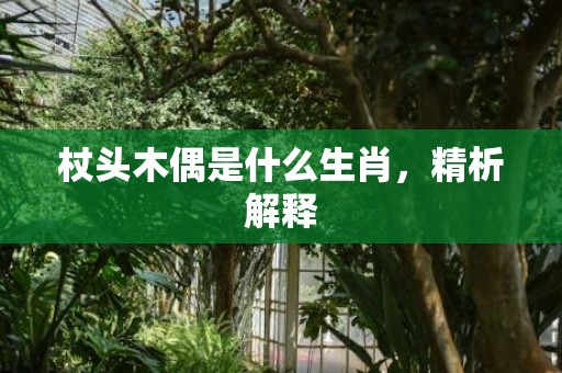 杖头木偶是什么生肖，精析解释