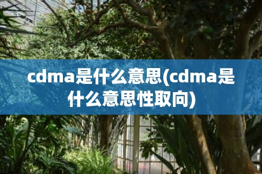 cdma是什么意思(cdma是什么意思性取向)