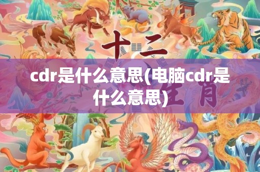 cdr是什么意思(电脑cdr是什么意思)