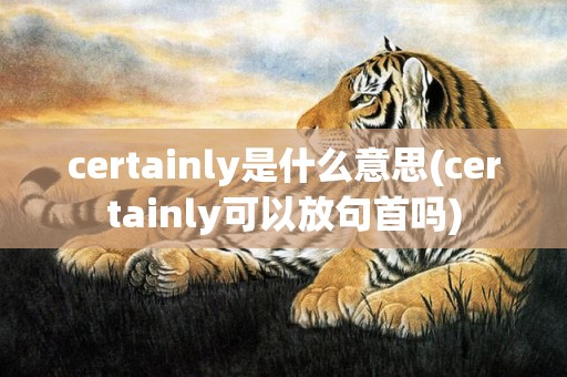 certainly是什么意思(certainly可以放句首吗)