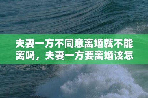 夫妻一方不同意离婚就不能离吗，夫妻一方要离婚该怎么申请财产保全，夫妻闹离婚如何保全财产