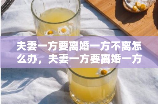 夫妻一方要离婚一方不离怎么办，夫妻一方要离婚一方不离怎么办呢