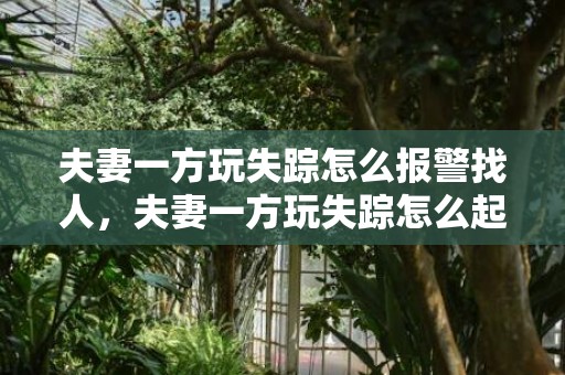 夫妻一方玩失踪怎么报警找人，夫妻一方玩失踪怎么起诉离婚扶养费，夫妻一方失踪多年怎么离婚