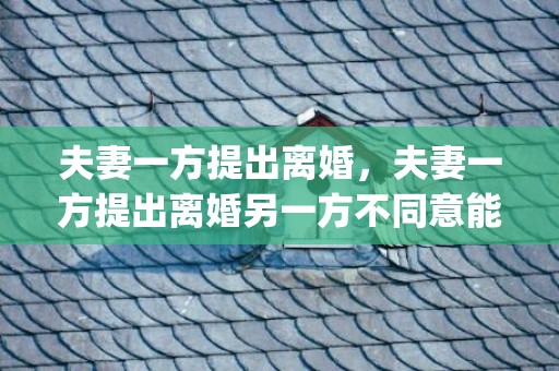 夫妻一方提出离婚，夫妻一方提出离婚另一方不同意能离吗(没感情了提出离婚女方不同意)