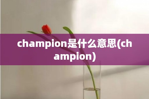 champion是什么意思(champion)