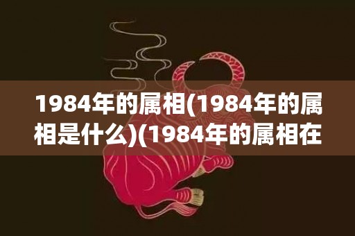1984年的属相(1984年的属相是什么)(1984年的属相在11月份财运咋样儿)