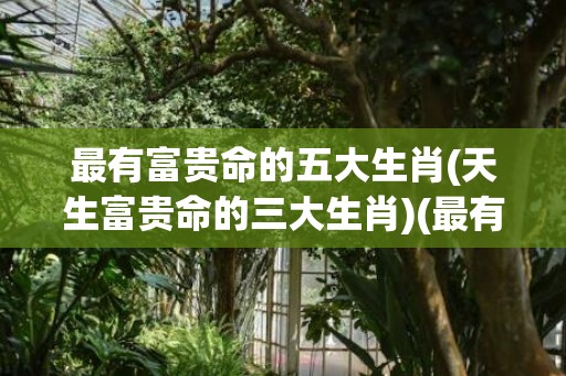最有富贵命的五大生肖(天生富贵命的三大生肖)(最有富贵命的五大生肖鼠)