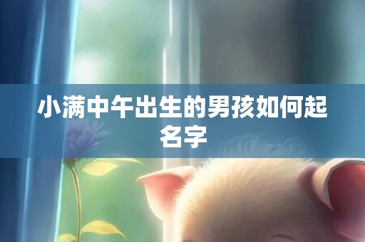 小满中午出生的男孩如何起名字