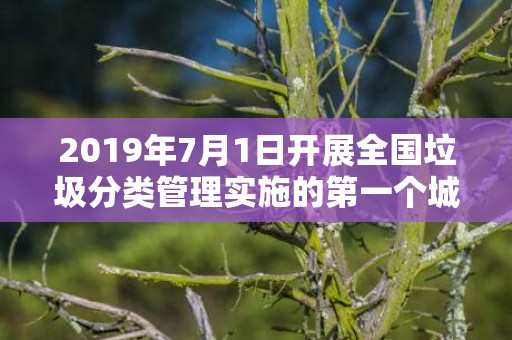 2019年7月1日开展全国垃圾分类管理实施的第一个城市是，2019年7月14号出生的男宝宝五行缺木要如何起名字