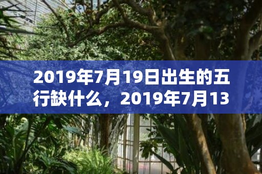 2019年7月19日出生的五行缺什么，2019年7月13号出生的男宝宝五行缺木要如何起名字
