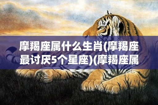 摩羯座属什么生肖(摩羯座最讨厌5个星座)(摩羯座属什么生肖命最苦)