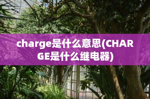 charge是什么意思(CHARGE是什么继电器)