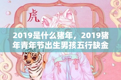 2019是什么猪年，2019猪年青年节出生男孩五行缺金怎么样起名字