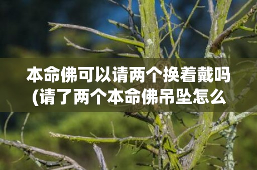 本命佛可以请两个换着戴吗(请了两个本命佛吊坠怎么办)(本命佛可以请两个换着戴吗)