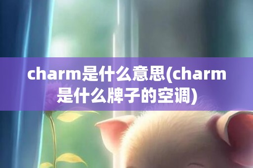 charm是什么意思(charm是什么牌子的空调)