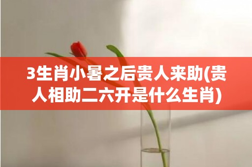 3生肖小暑之后贵人来助(贵人相助二六开是什么生肖)(小暑是什么生肖)