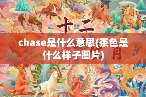 chase是什么意思(茶色是什么样子图片)