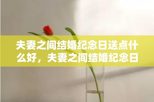 夫妻之间结婚纪念日送点什么好，夫妻之间结婚纪念日祝福语怎么写，老夫妻结婚纪念日祝福语