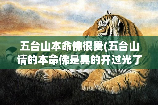 五台山本命佛很贵(五台山请的本命佛是真的开过光了吗)(五台山被忽悠请本命佛)