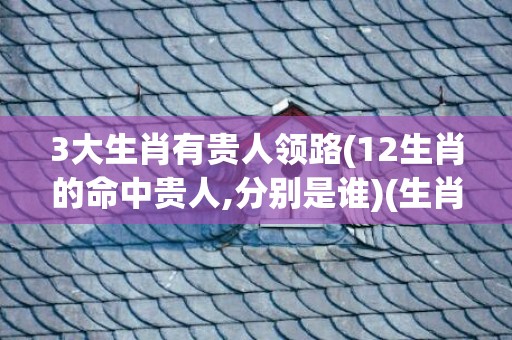 3大生肖有贵人领路(12生肖的命中贵人,分别是谁)(生肖鸡的最佳贵人是谁)