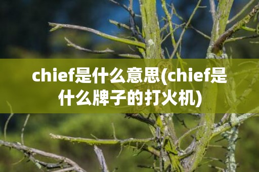 chief是什么意思(chief是什么牌子的打火机)