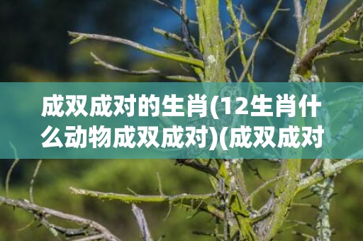 成双成对的生肖(12生肖什么动物成双成对)(成双成对的生肖动物是什么)