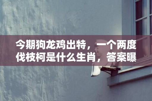 今期狗龙鸡出特，一个两度伐枝柯是什么生肖，答案曝光落实