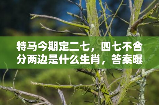 特马今期定二七，四七不合分两边是什么生肖，答案曝光落实