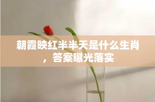 朝霞映红半半天是什么生肖，答案曝光落实