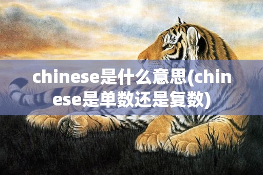 chinese是什么意思(chinese是单数还是复数)