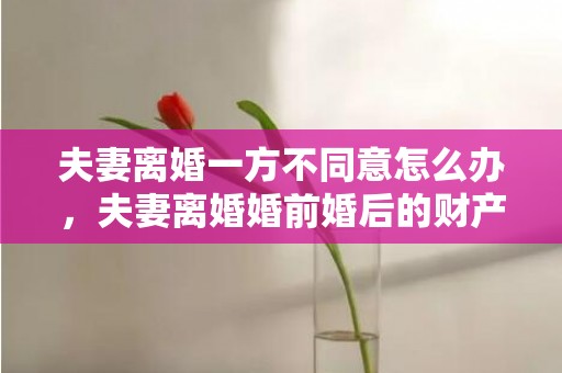 夫妻离婚一方不同意怎么办，夫妻离婚婚前婚后的财产怎么分配给对方呢