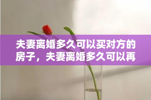夫妻离婚多久可以买对方的房子，夫妻离婚多久可以再买房