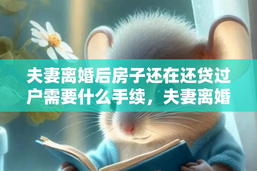 夫妻离婚后房子还在还贷过户需要什么手续，夫妻离婚后房子还在还贷过户需要什么手续，夫妻离婚贷款房可以过户吗