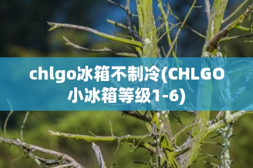 chlgo冰箱不制冷(CHLGO小冰箱等级1-6)