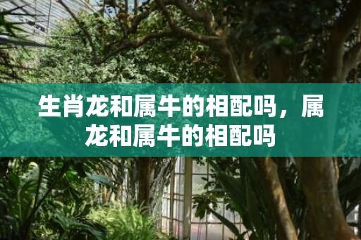 生肖龙和属牛的相配吗，属龙和属牛的相配吗